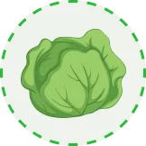 全面赛事体验 - 爱游戏体育APP
