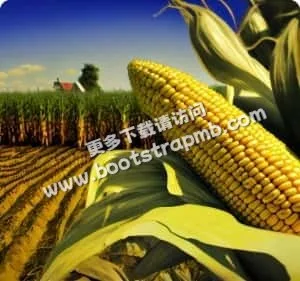体验专业，感受趣味 - 爱游戏体育APP