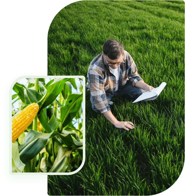 专业资讯，即时更新 - 爱游戏体育APP