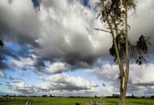 三笘薰：现在的日本队进世界杯是理所当然的，世预赛也有困难.